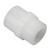 Male Thread X SW Adaptor