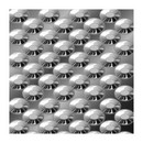 Spin Oval-Glanz