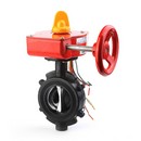 שסתום פרפר בין אוגנים